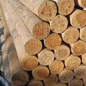 Agaç