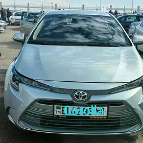 Toyota Corolla 2023