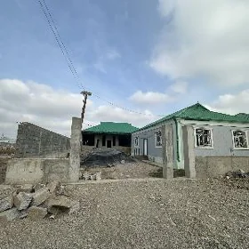bagyr