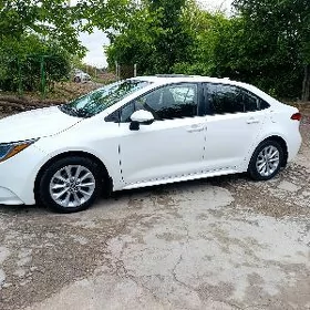 Toyota Corolla 2019