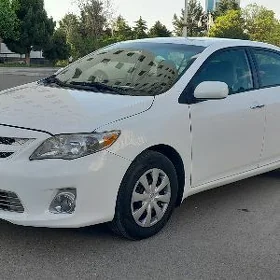 Toyota Corolla 2011