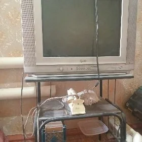 lo telewizor