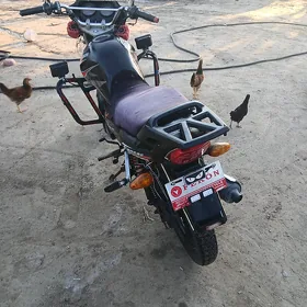 Fekon FK200-14G 2026