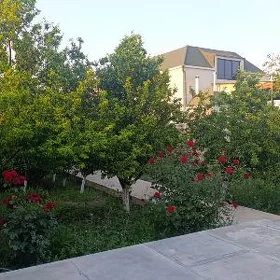 BUZMEYIN GOS.PROYEKT.KOTTEJ