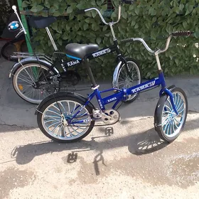 tigir 20 lyk