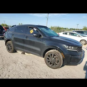 SORENTO ANGAR 16-25