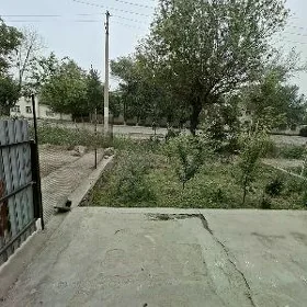 сатлык жак