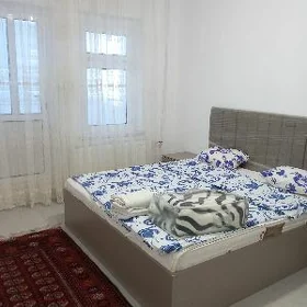 Arenda Elitka