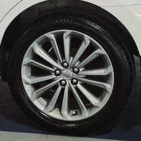 Dıska pakrışka 17 korolla