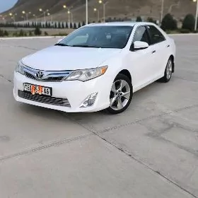Toyota Camry 2014