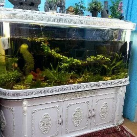 Аквариум Akvarium