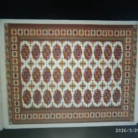 haly tarpeda