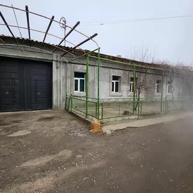 Salyk howly Ürgenji pos.Zelili