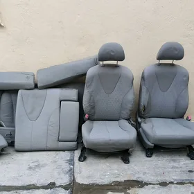 Sedenni öküz kelle