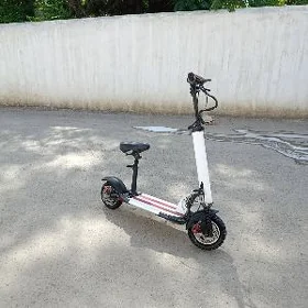 Elektrony skutyr