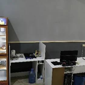 haladylnik