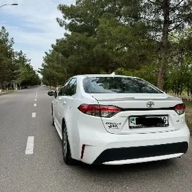 Toyota Corolla 2022