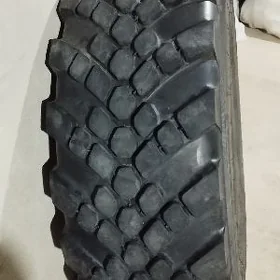 kamaz tekir wedusy