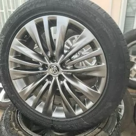 Haylandyra Platinum R20
