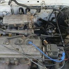 Toyota Tercel 1995