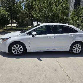 Toyota Corolla 2024