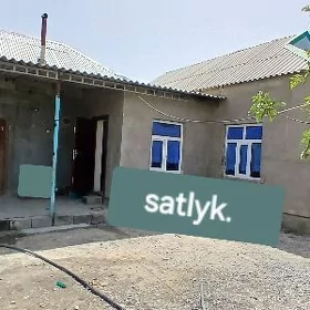 Satlyk jay
