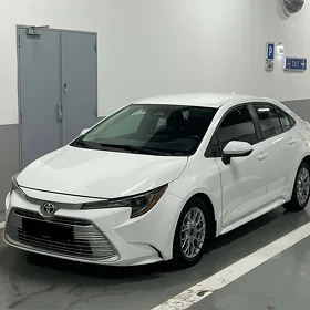 Toyota Corolla 2023