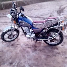 Fekon FK150-8G 2010
