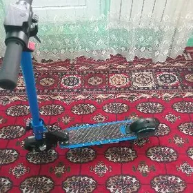 tokly samkat