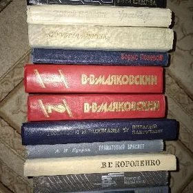 43 sany kitap