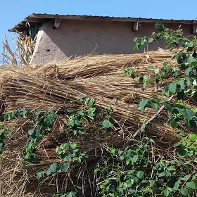 Hyžža