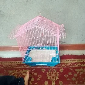 guş ketek