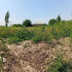 satlyk mellek yer