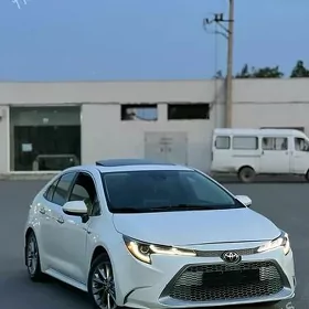 Toyota Corolla 2020