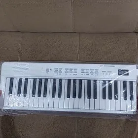Elektro piano pianino