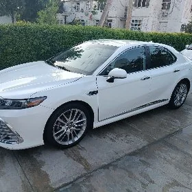 Toyota Camry 2020
