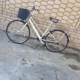 welik 26 5 skor