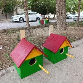 guş ketet