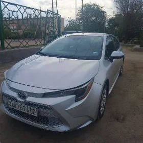 Toyota Corolla 2022