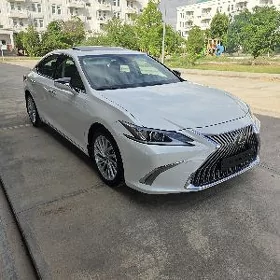 Lexus ES 350 2022