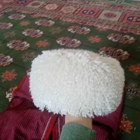 Don telpek