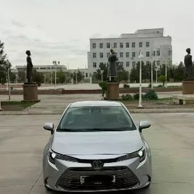 Toyota Corolla 2023