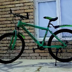 turkmenistan tigir