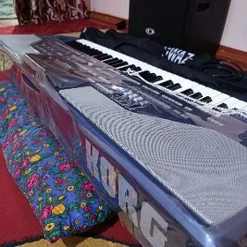 Ritm blok Korg pa800