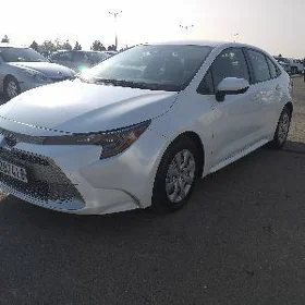 Toyota Corolla 2022