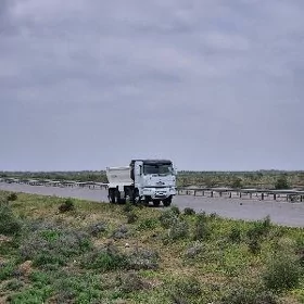 Volvo FH 460 2008