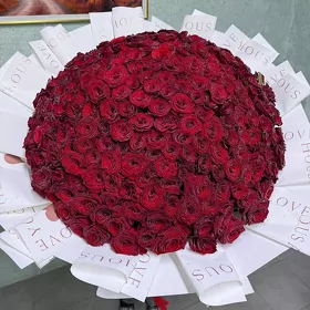 Gul magazyna satyjy gyz gerek