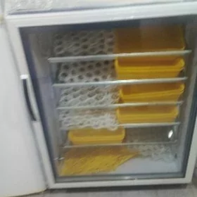 Inkubator