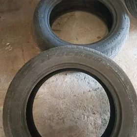 245/55/19