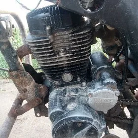 Fekon FK150-8G 2019